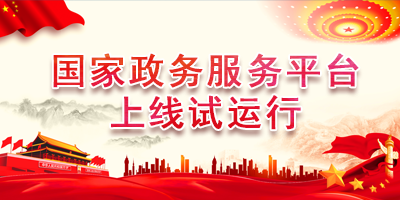 国家政务服务平台